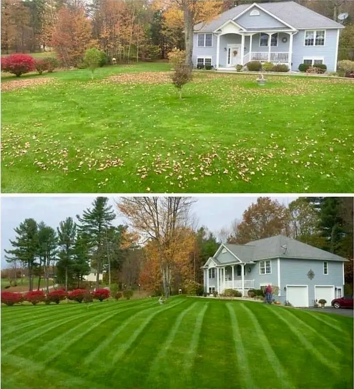 Before and after lawn care results in Wilmington, NC