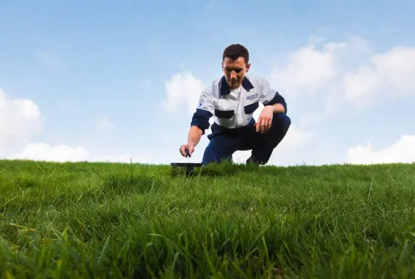 Lawn fertilization and soil health care in Wilmington, NC